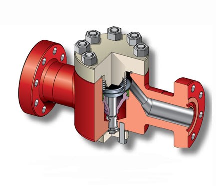Check Valves