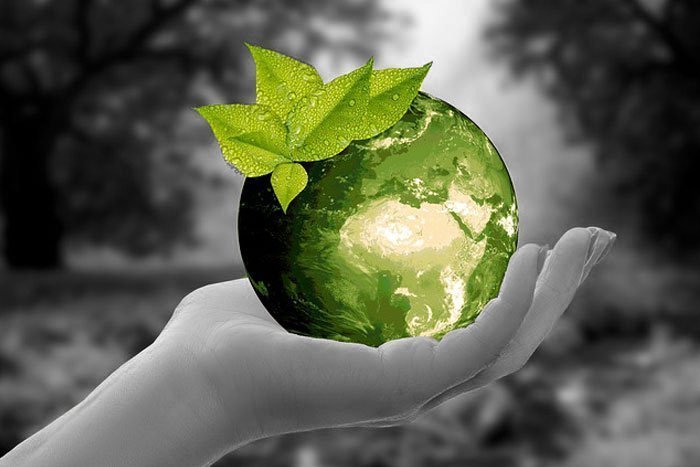 Environment
